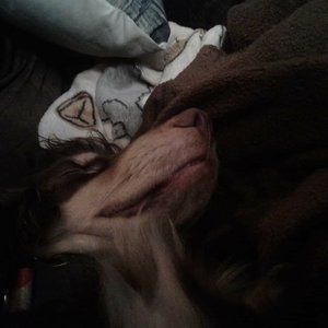 Meet your Posher, Connor